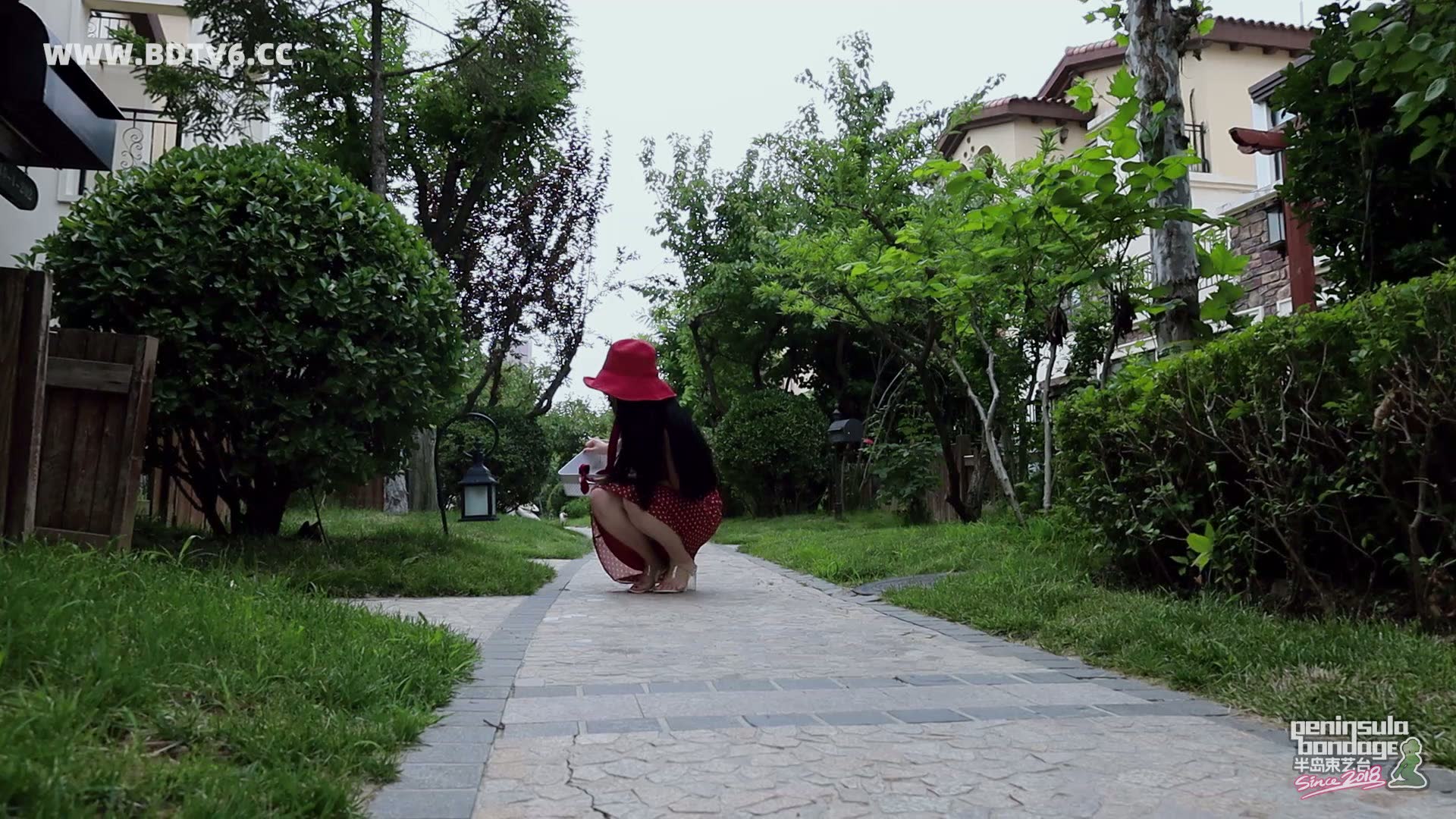 YT2875 小红帽的故事