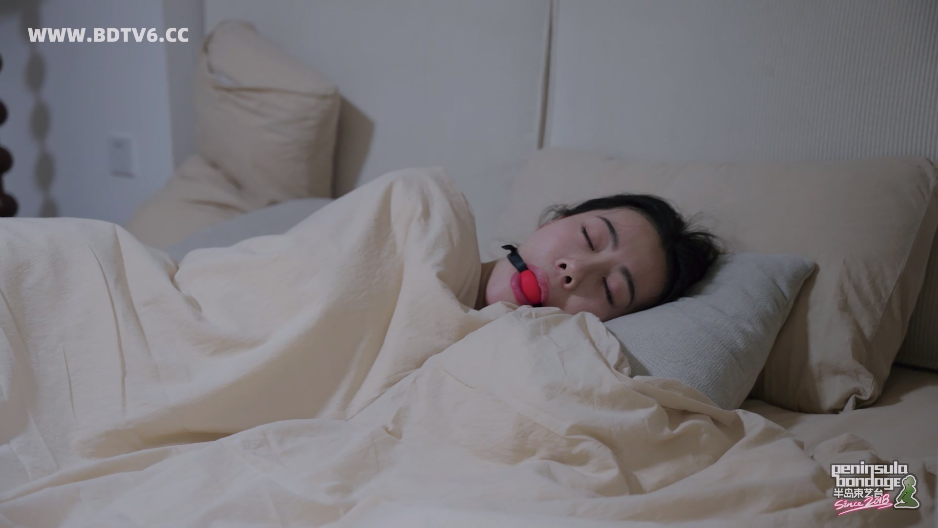 YT3009 躲到深圳也没用