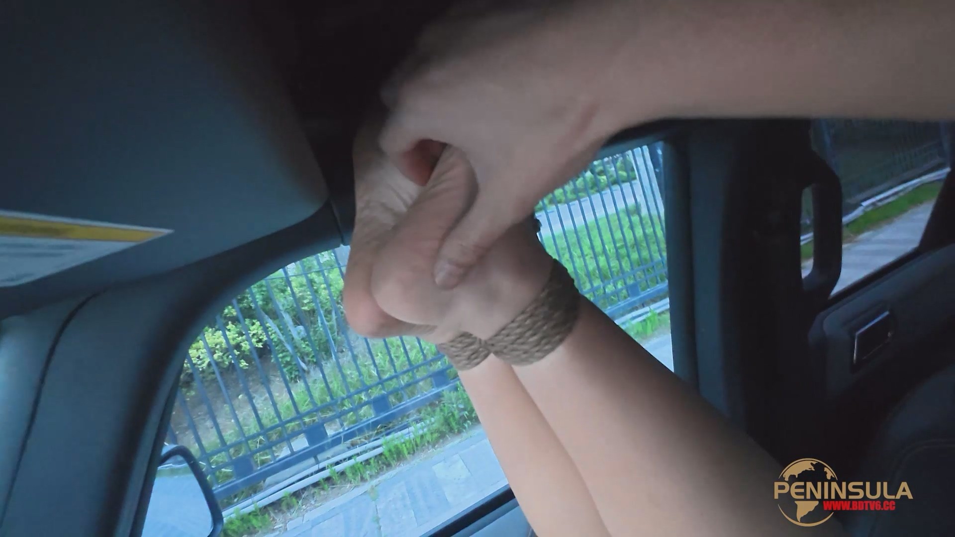 YT2846 专治晕车/index.m3u8_20250619_044823.847.jpg