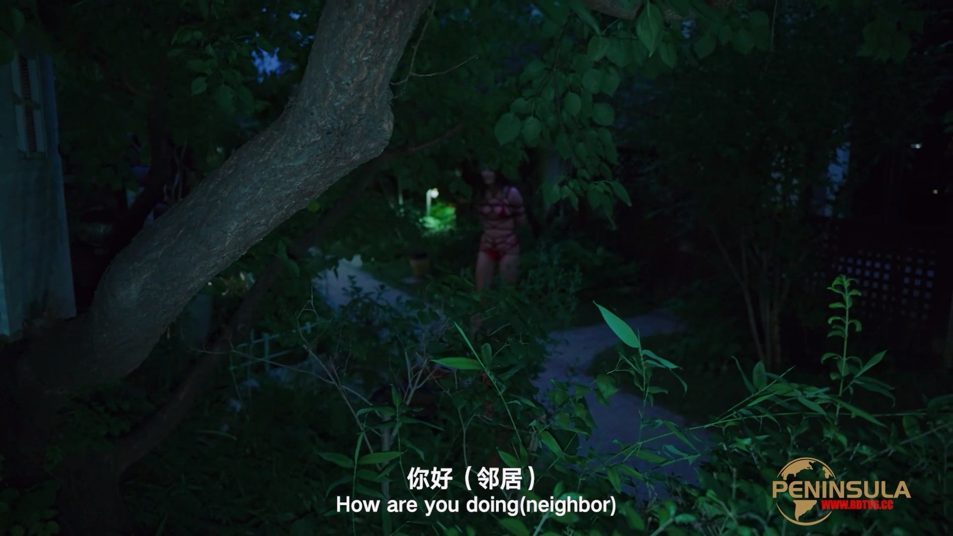 YT2980 跟波雅打赌是错误的/index.m3u8_20251019_043453.088.jpg