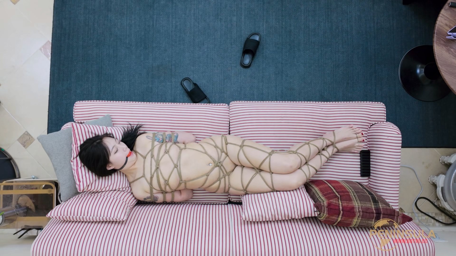YT3043 最怕台长太闲/index.m3u8_20251215_213742.914.jpg