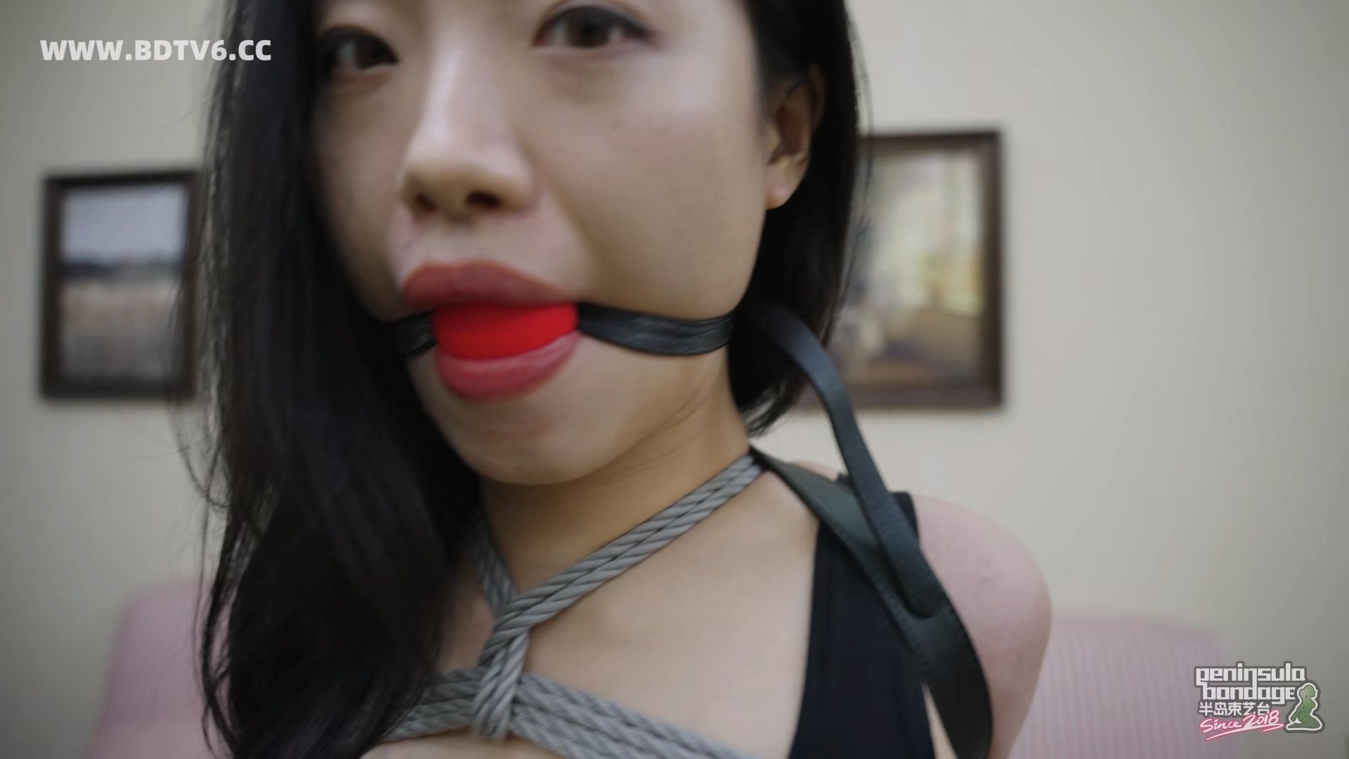 YT3069 如果把能用的东西都用上/index.m3u8_20260118_001603.276.jpg