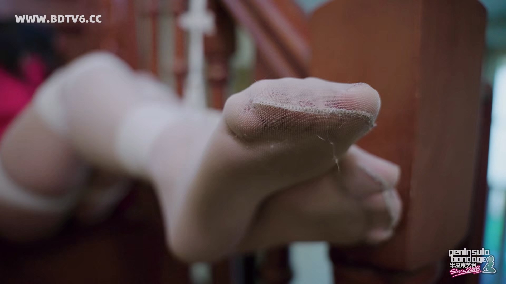 YT3083 水晶永远不会说谎/index.m3u8_20260127_213742.606.jpg