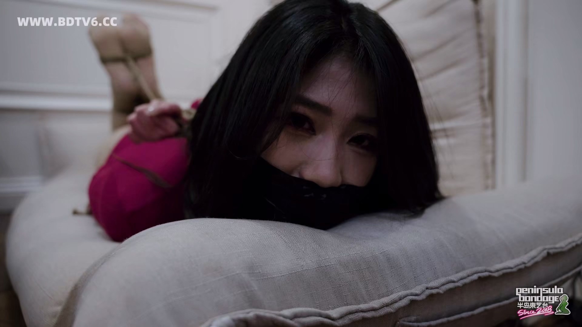 YT3100 镇宅之宝/index.m3u8_20260210_065610.740.jpg
