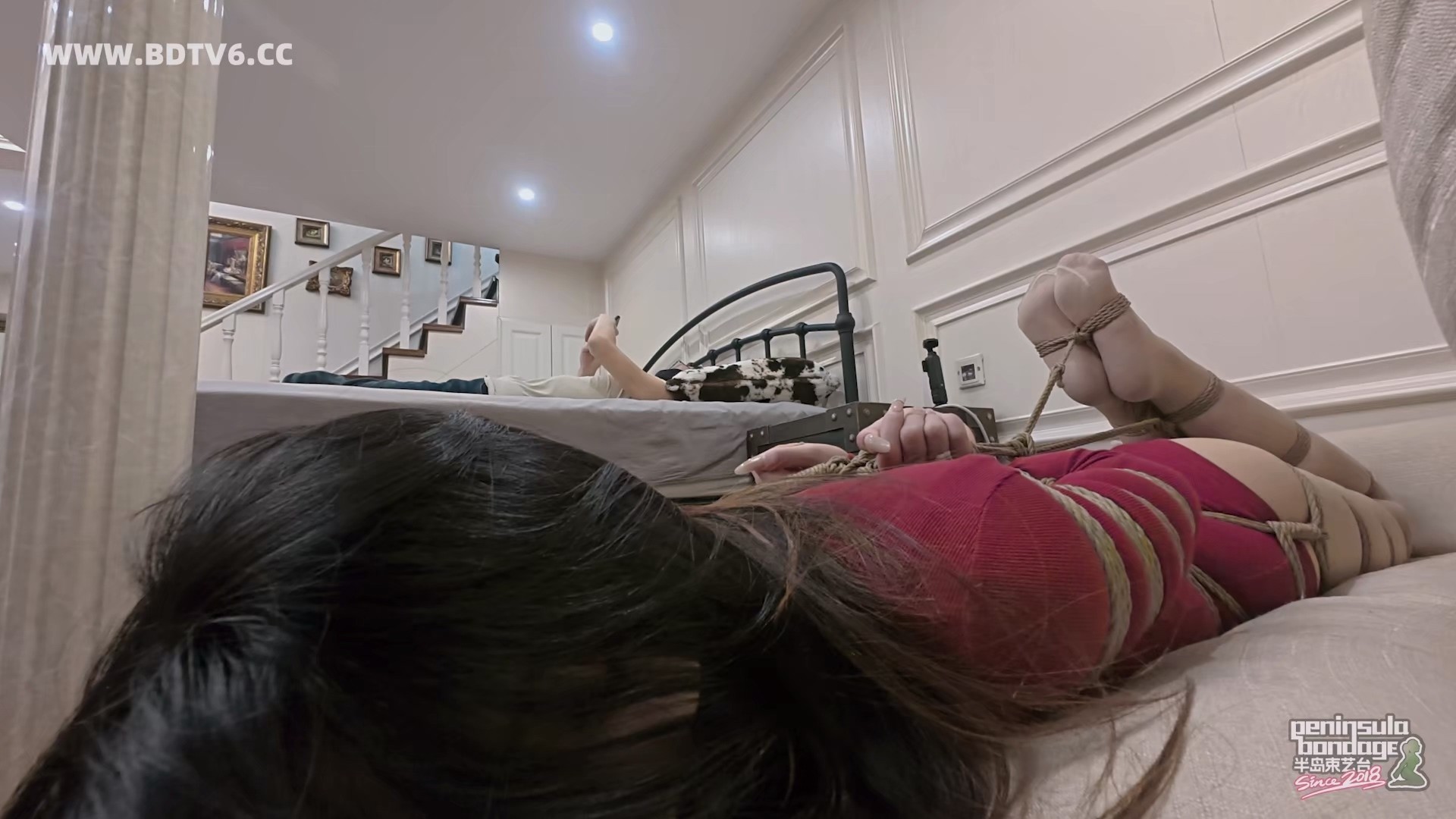 YT3100 镇宅之宝/index.m3u8_20260210_065633.000.jpg