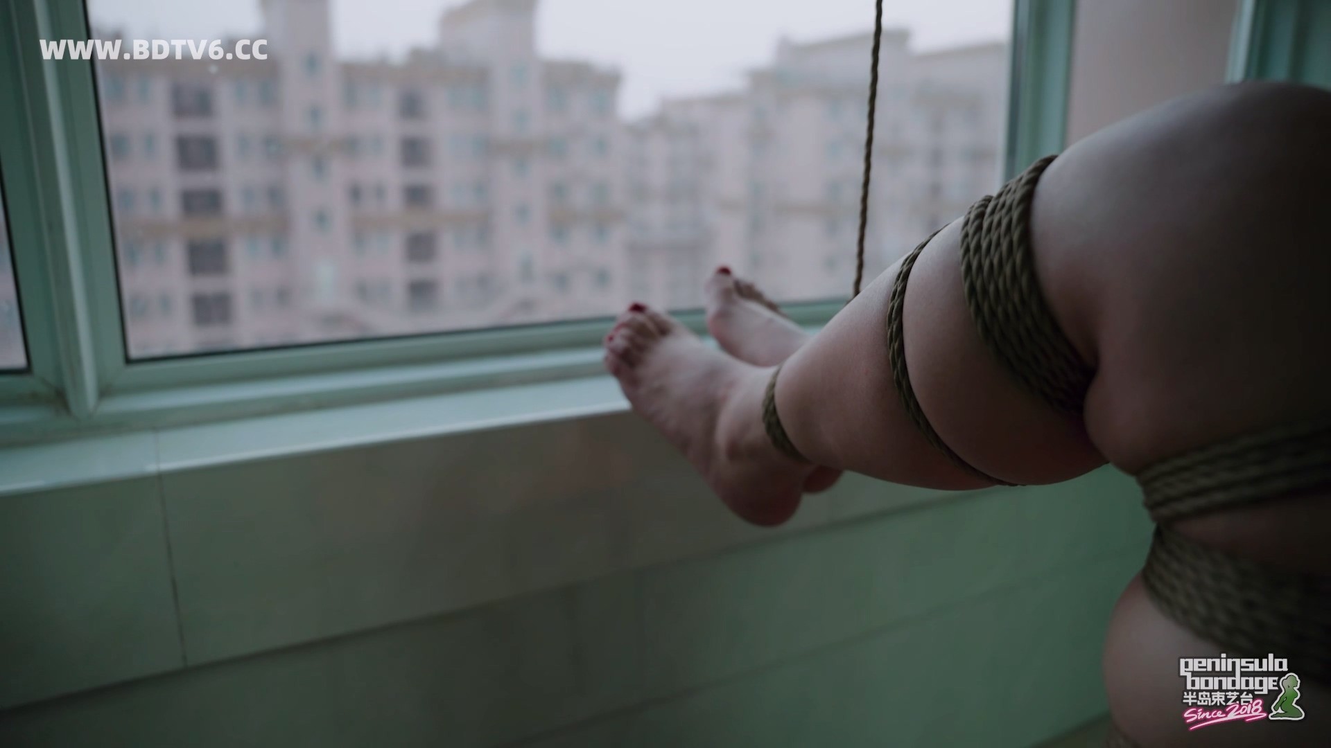 YT3108 对面的邻居看过来/index.m3u8_20260302_150115.806.jpg