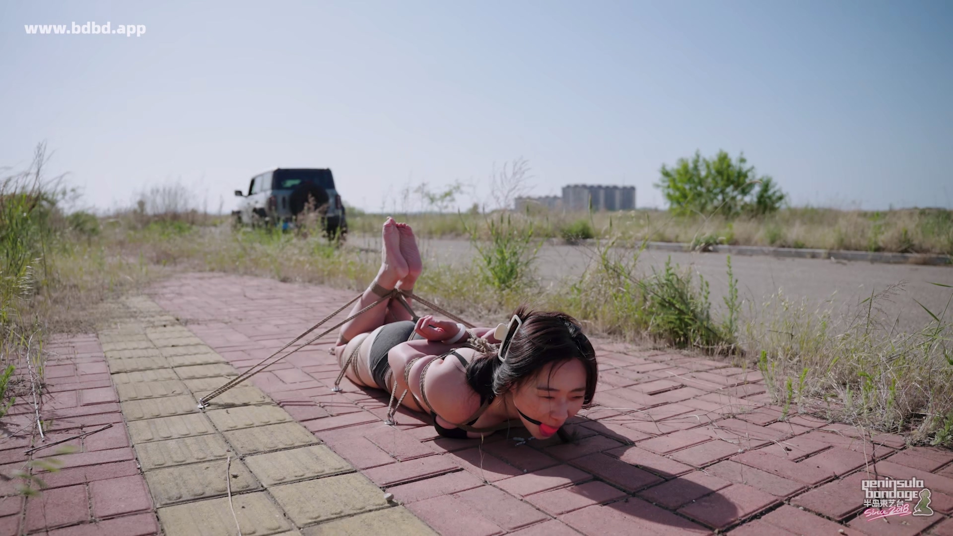 YT3201 治疗痛经的祖传秘方.mp4_20260521_034415.452.jpg