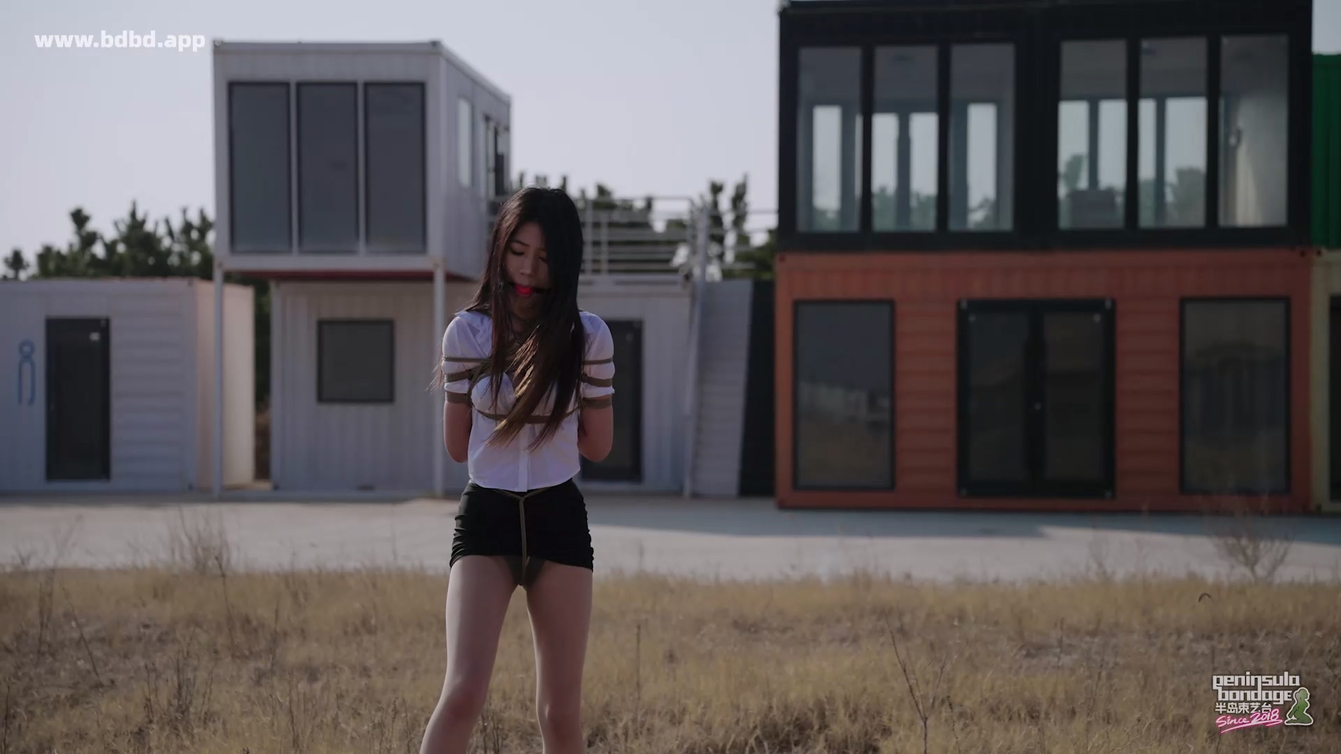 YT3145 秘书去哪了.mp4_20260404_060323.777.jpg