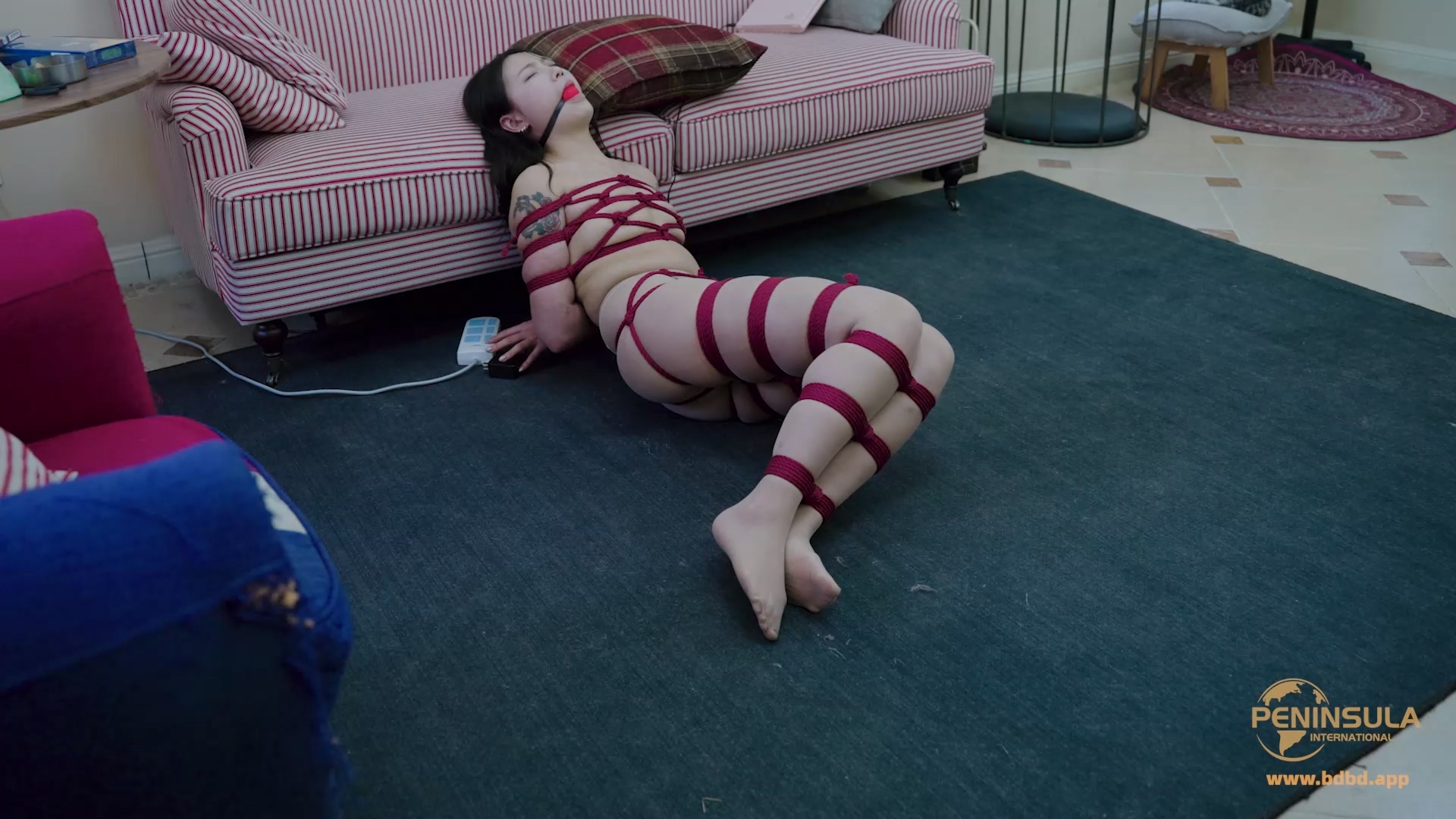 YT3148 美白灯?美缚灯?.mp4_20260408_005112.812.jpg