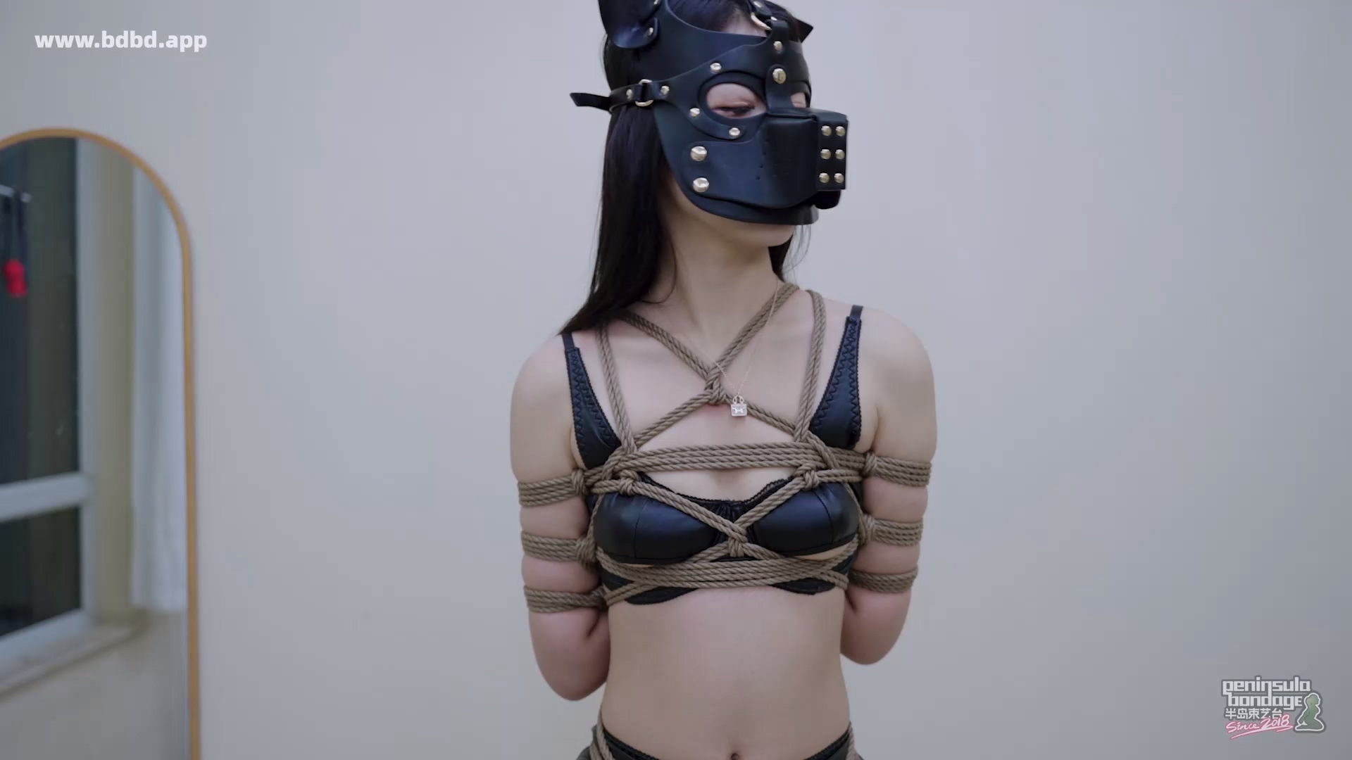 YT3163 跳舞的狗头.mp4_20260422_032558.457.jpg