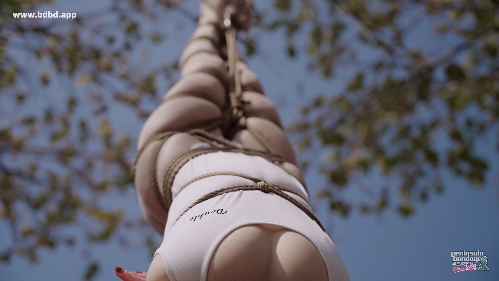 YT3169 双树园.mp4_20260425_232500.698.jpg