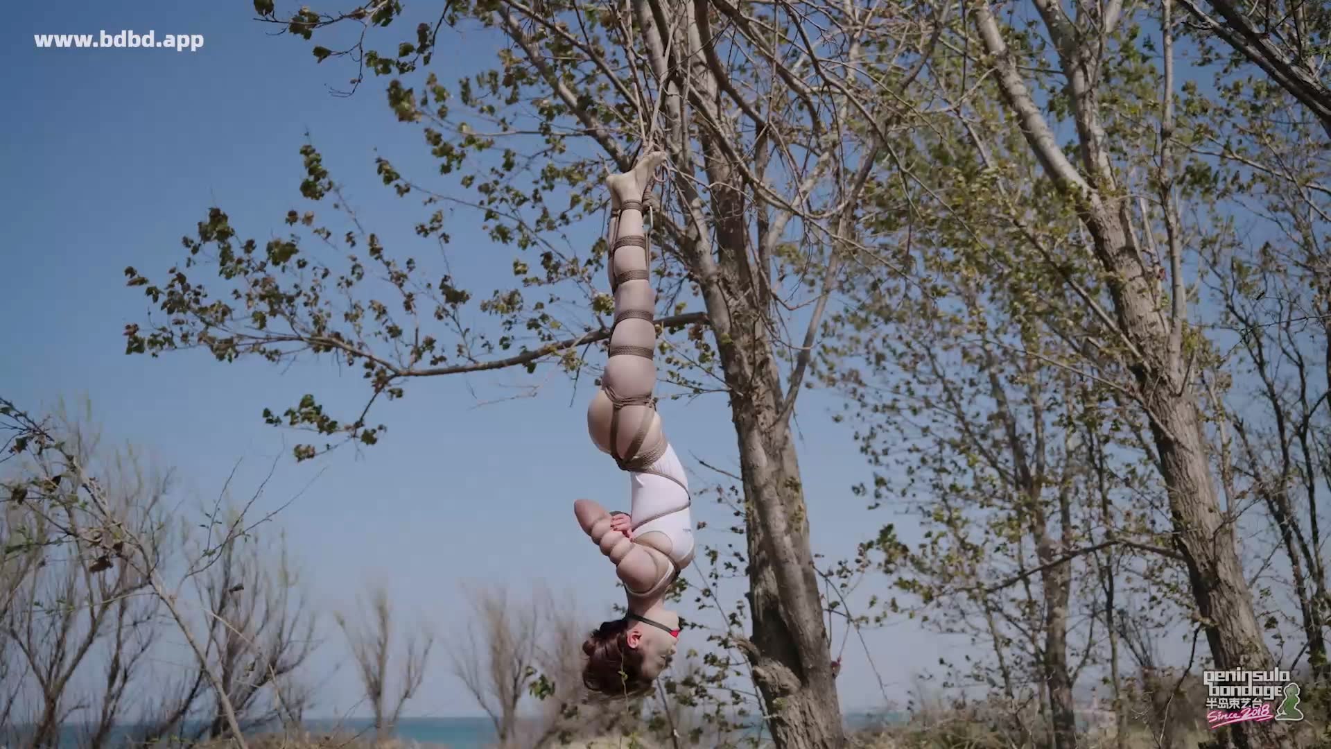 YT3169 双树园.mp4_20260425_232512.758.jpg