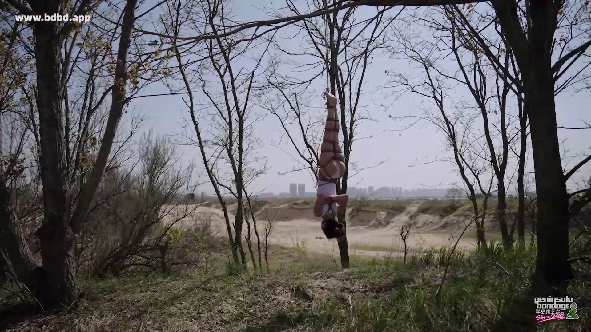 YT3169 双树园.mp4_20260425_232508.438.jpg