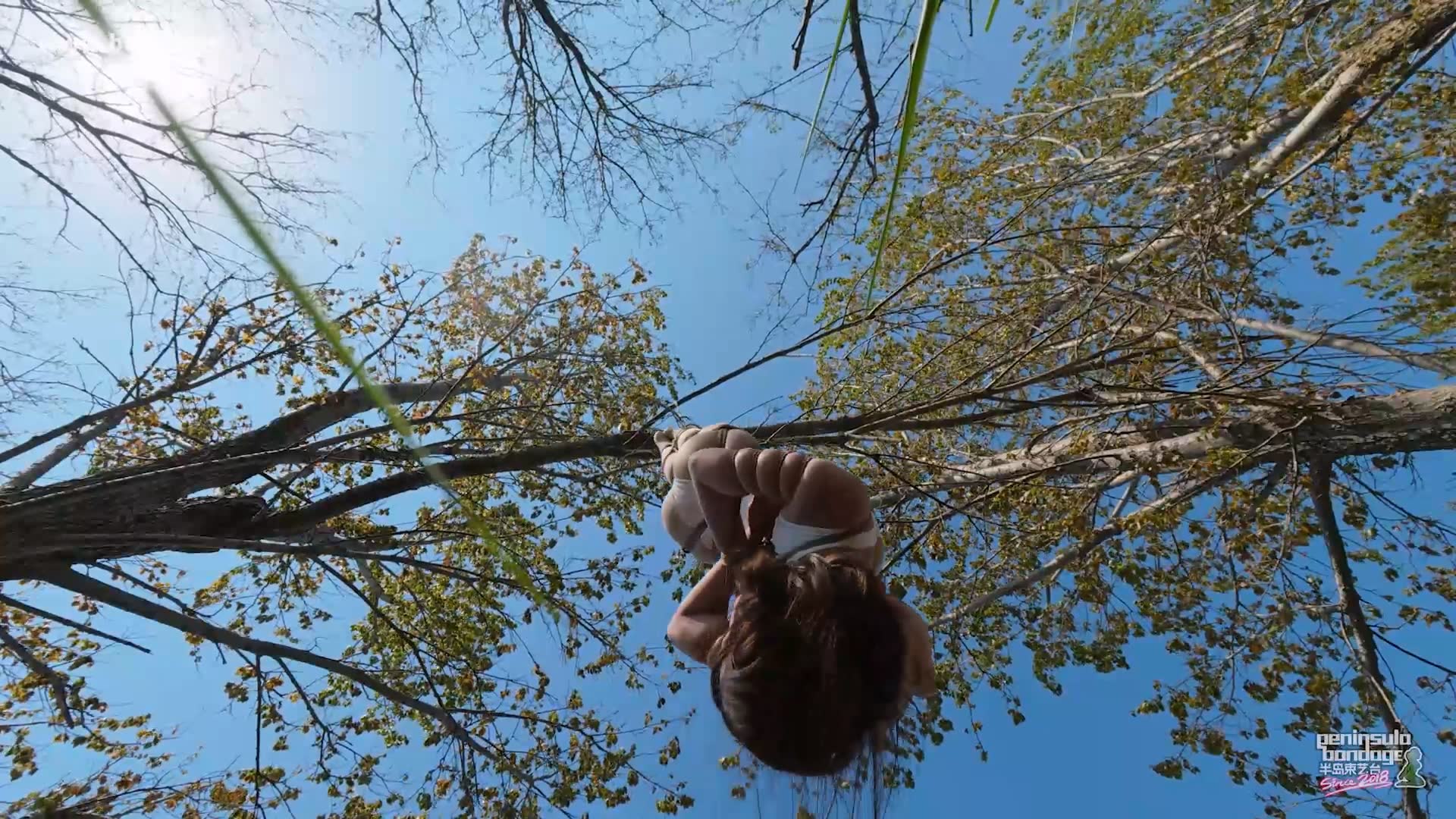 YT3169 双树园.mp4_20260425_232547.079.jpg