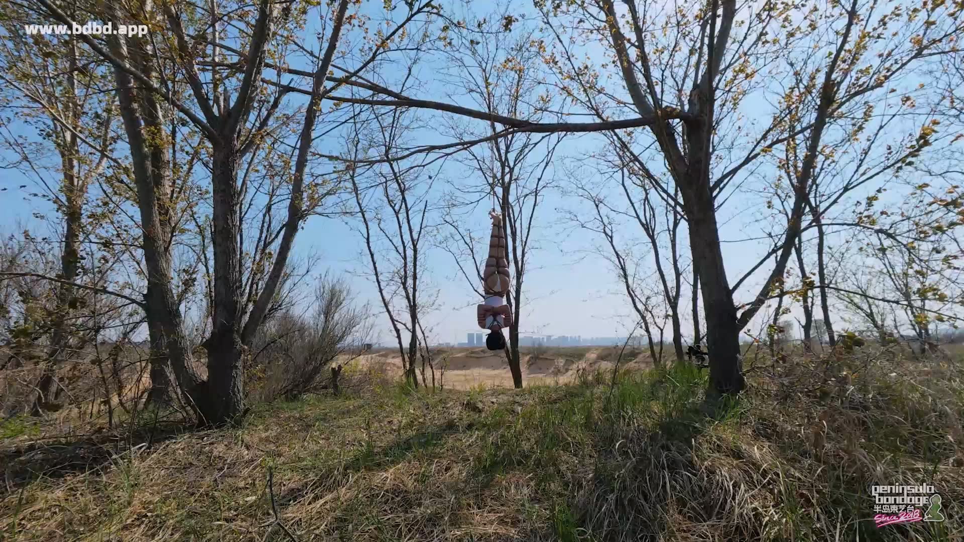 YT3169 双树园.mp4_20260425_232514.049.jpg