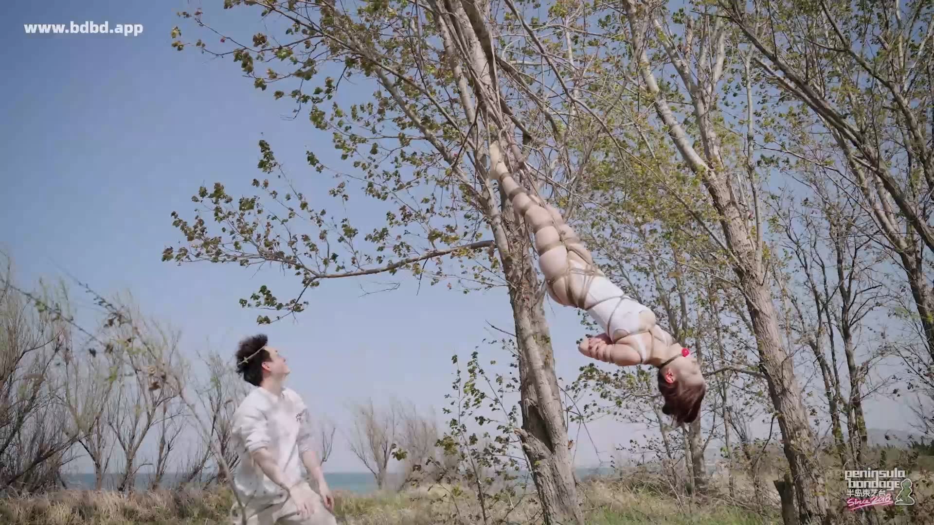 YT3169 双树园.mp4_20260425_232615.848.jpg