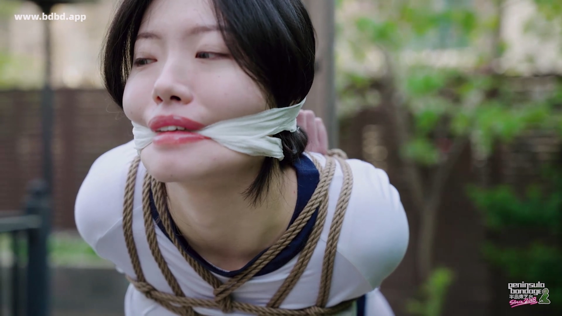 YT3165 脆弱的脖子.mp4_20260424_011947.054.jpg