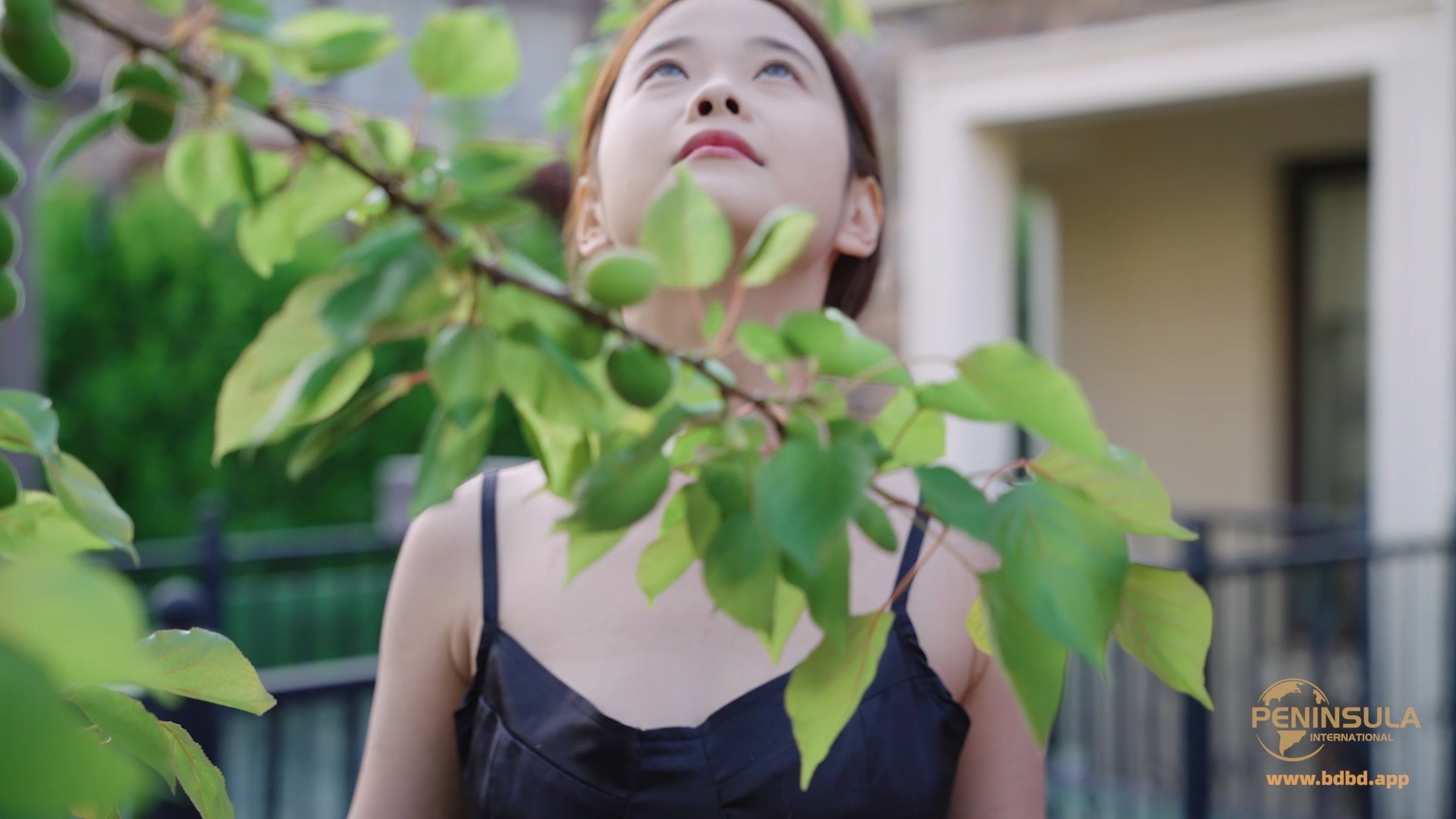 YT3167 The Follower under the Cherry Tree.mp4_20260425_021101.511.jpg