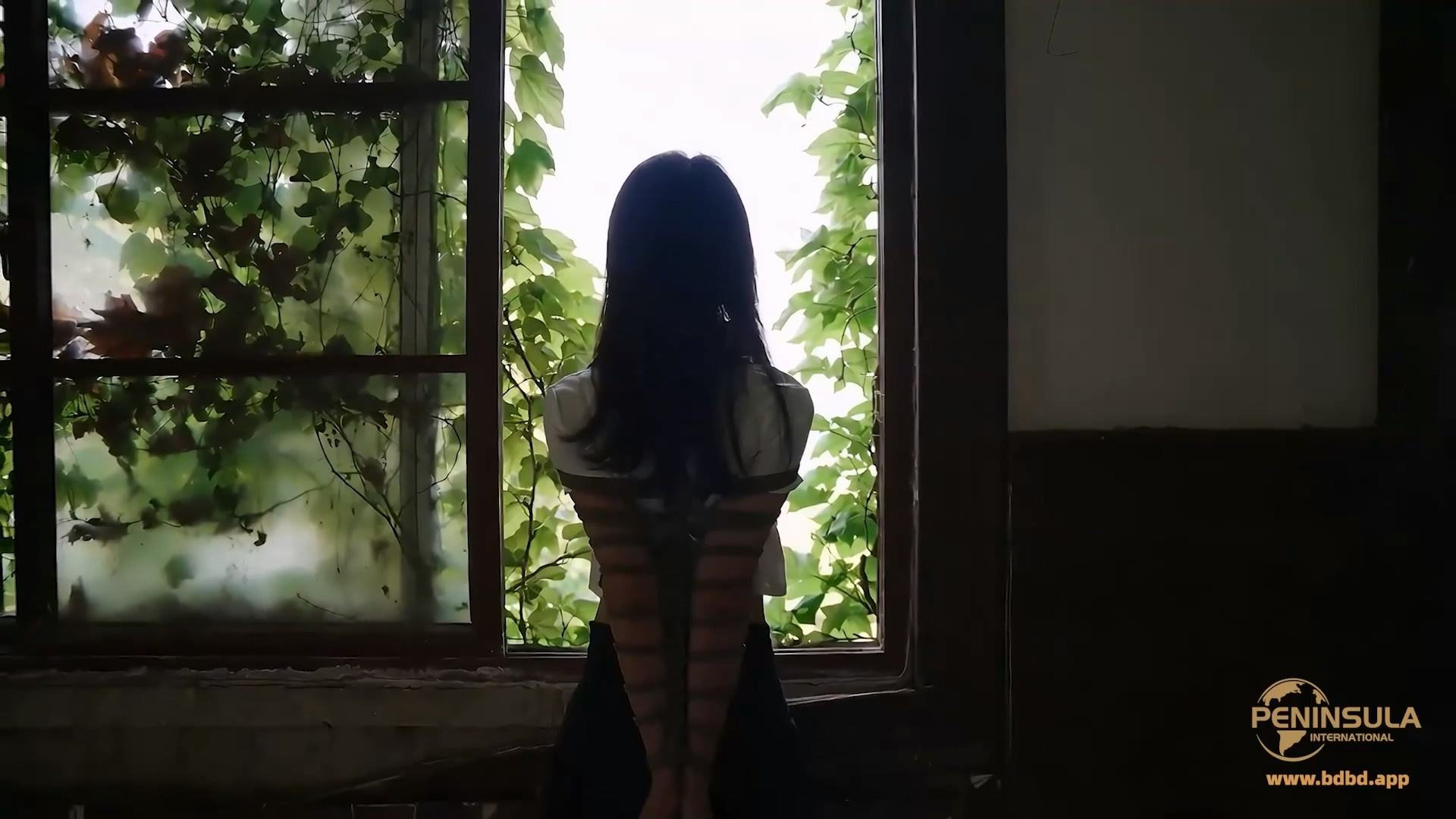 YT3194 老房有喜.mp4_20260511_025257.431.jpg