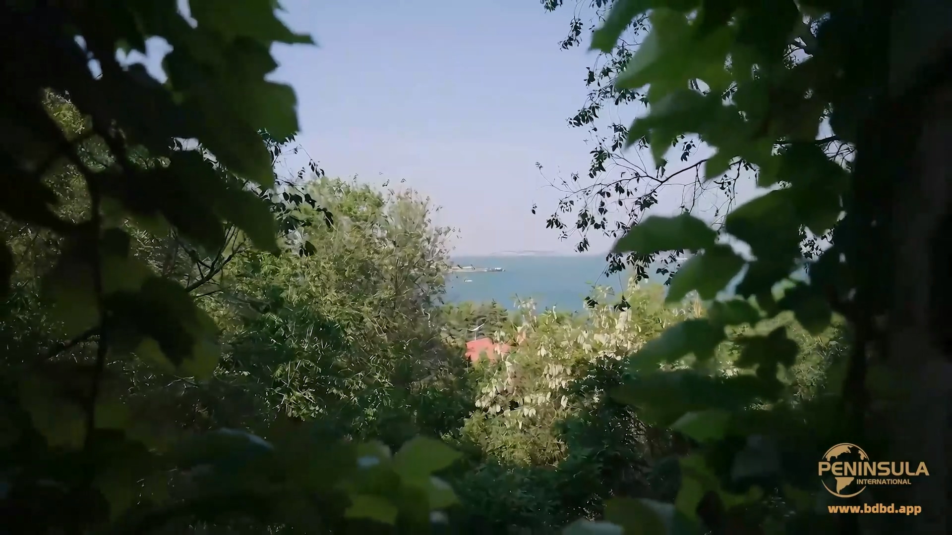 YT3194 老房有喜.mp4_20260511_025246.631.jpg