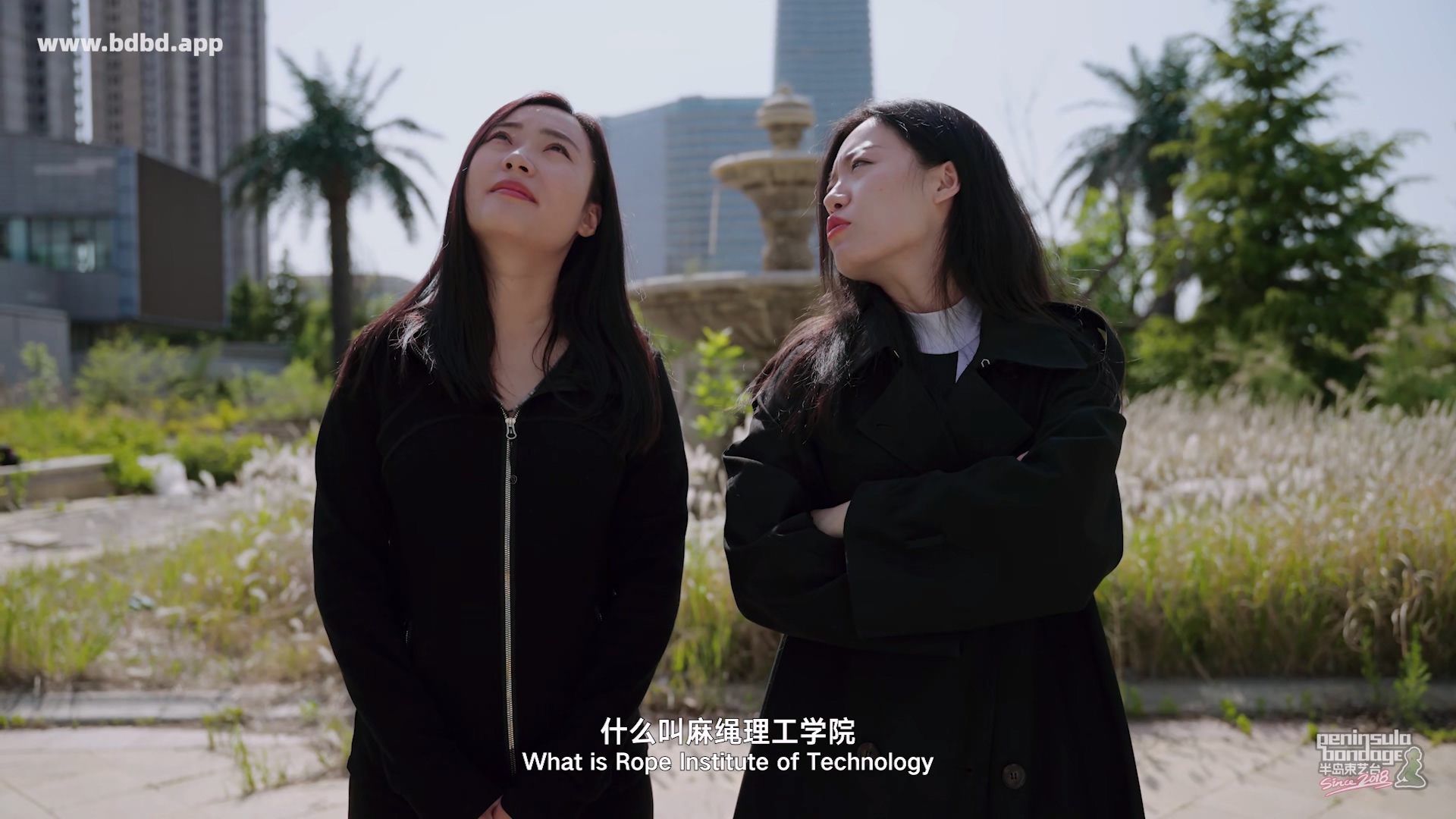 YT3197 野鸡大学上不得.mp4_20260514_030726.723.jpg