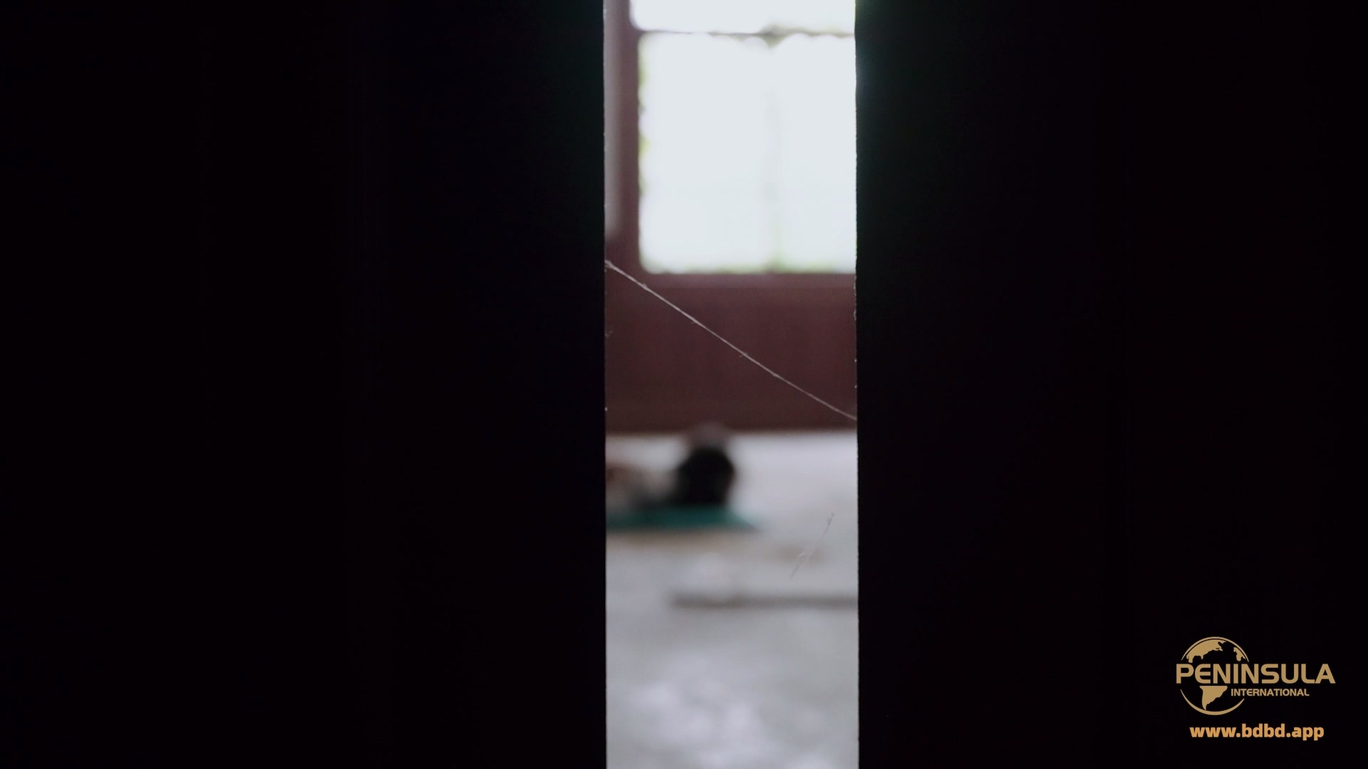 YT3195 老房新事.mp4_20260525_001916.772.jpg