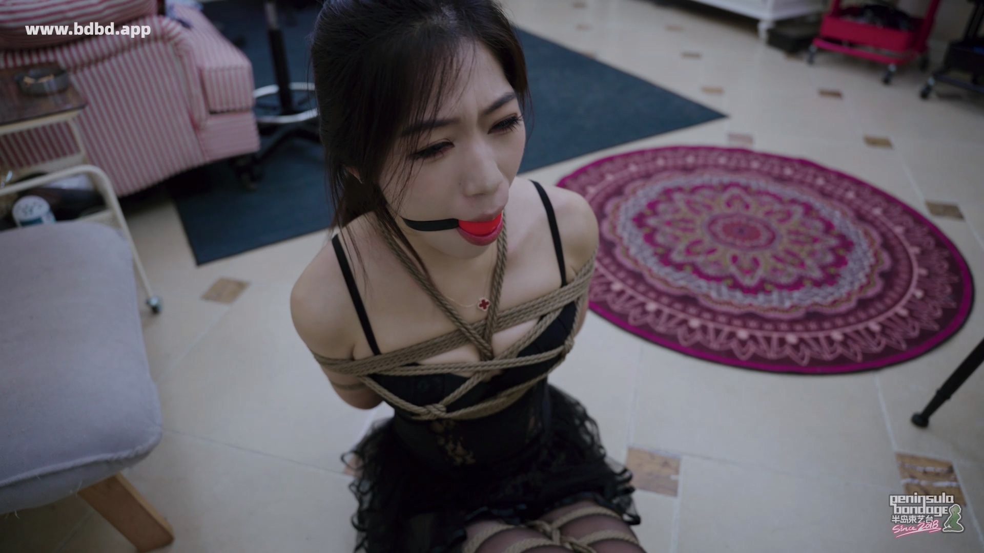 YT3207 镜界.mp4_20260526_063911.471.jpg
