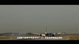 YT1657 落地请开手机