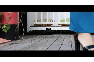 YT2416 无人监护的公共放置