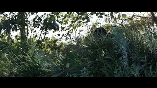 YT2528 不要碰我的车