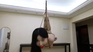 YT2633 她说喜欢这样飞