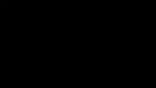 YT2695 2025蛇年全员访谈