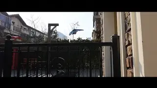 YT2707 春天到了，蝴蝶开始乱飞了